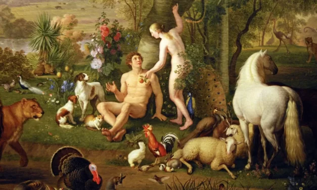 Cristiani e sesso: inferiori agli angeli, ma figli di Dio