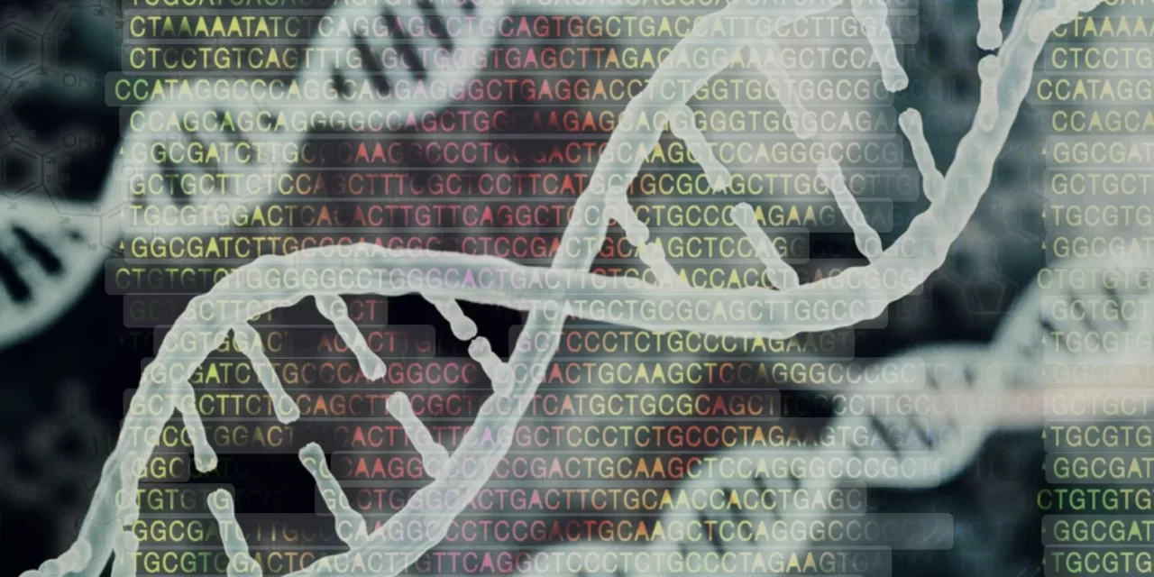 Oltre il limite? Le sfide bioetiche del genoma umano sintetico