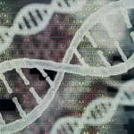 Oltre il limite? Le sfide bioetiche del genoma umano sintetico