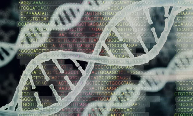 Oltre il limite? Le sfide bioetiche del genoma umano sintetico