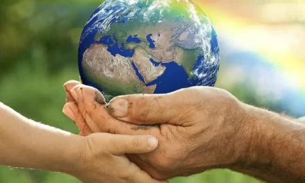 Dalla terra ferita al pane condiviso. La continuità profetica di Leone XIV nel solco di Francesco