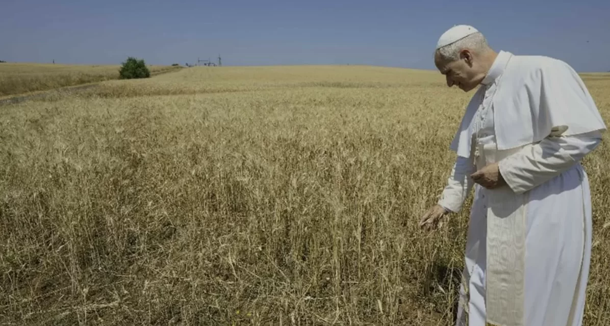 La Messa per la Creazione: continuità liturgica, profezia evangelica