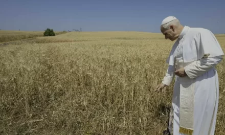 La Messa per la Creazione: continuità liturgica, profezia evangelica