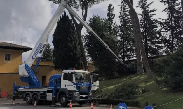 Regole nuove per gli appalti in Vaticano