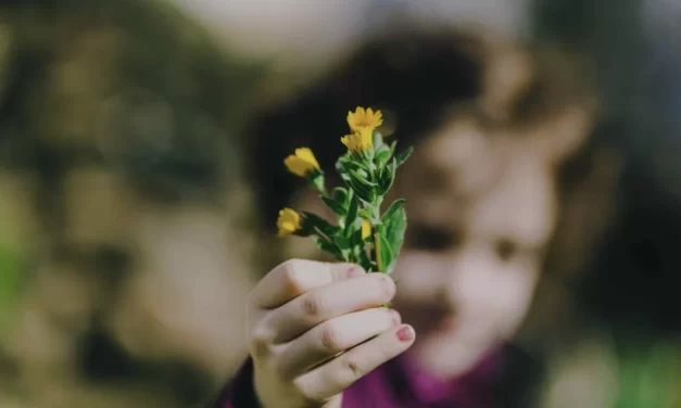 La dignità della persona tra natura e coscienza