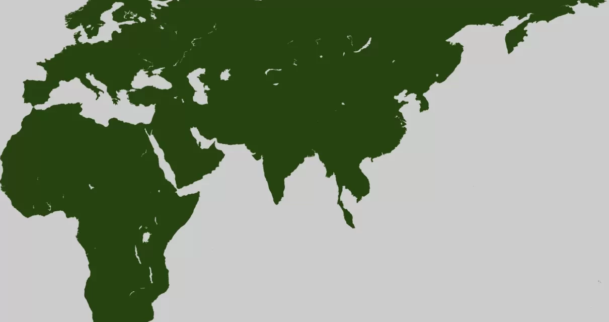 Afroeurasia