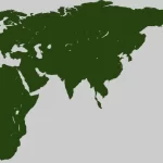 Afroeurasia