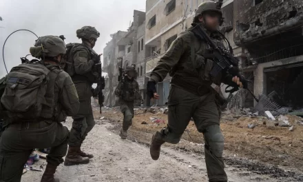 Gaza, la vergogna del mondo