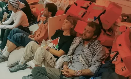 Alcuni attivisti della Flotilla sono già espulsi da Israele.Testimonianze di maltrattamenti