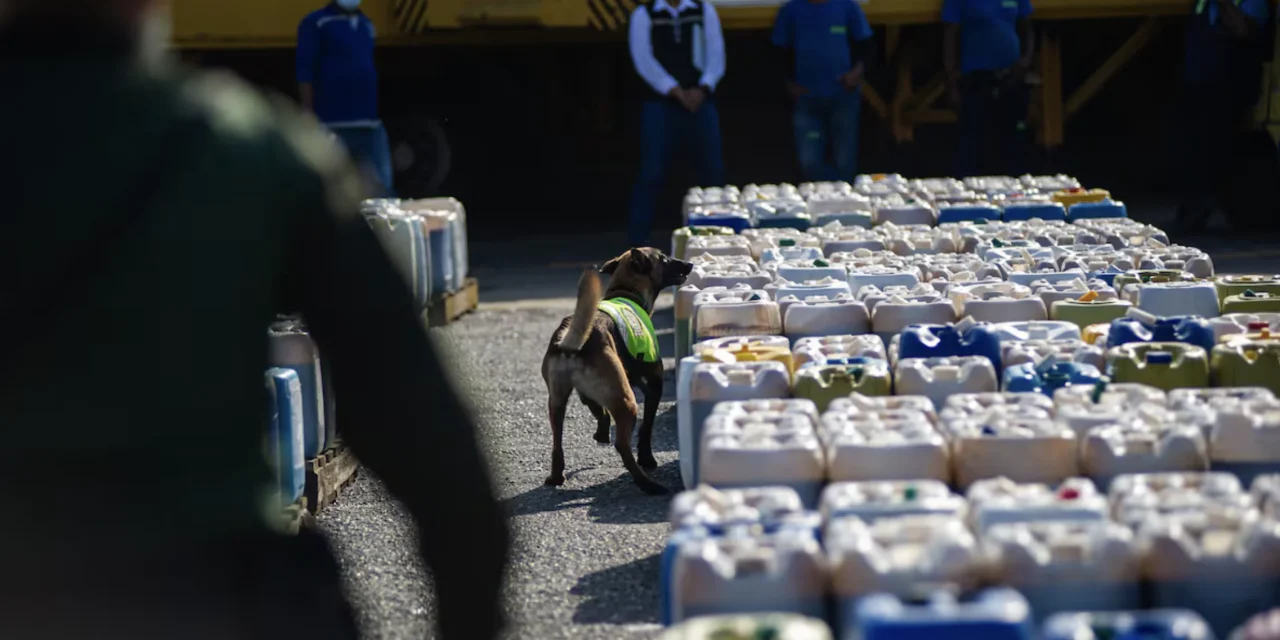 I soci invisibili del narcotraffico: quando il crimine veste di società sportiva e sicurezza privata