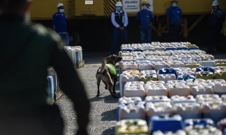 I soci invisibili del narcotraffico: quando il crimine veste di società sportiva e sicurezza privata