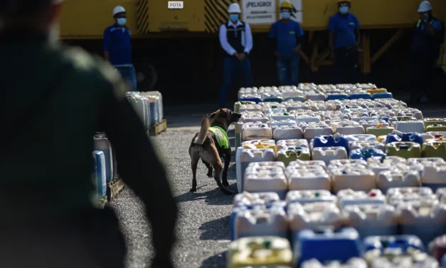 I soci invisibili del narcotraffico: quando il crimine veste di società sportiva e sicurezza privata