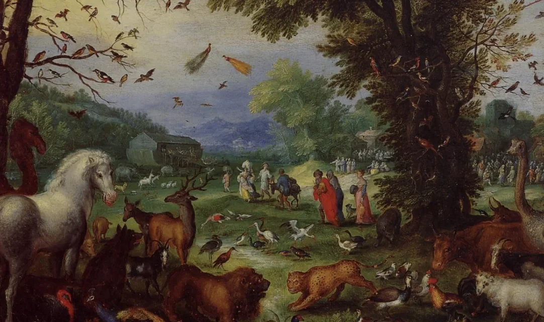 Gli animali vanno in cielo? Una speranza che nasce dall’amore e dalla fede