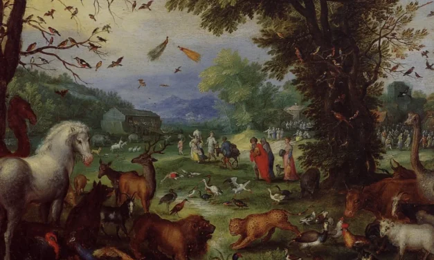 Gli animali vanno in cielo? Una speranza che nasce dall’amore e dalla fede