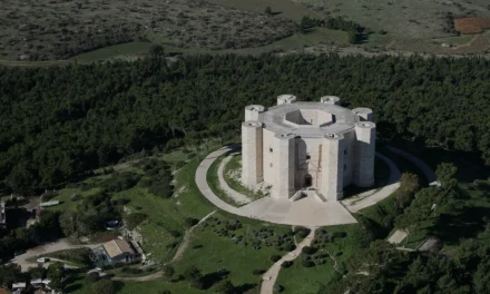 L’armonia del potere: diritto, dignità e libertà nella costruzione del Noi