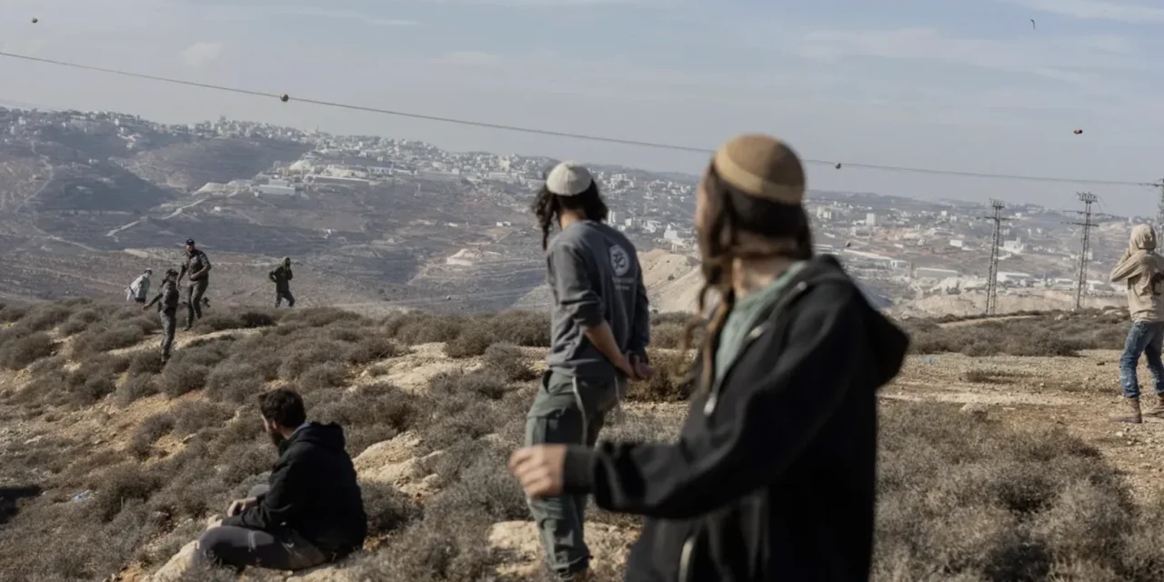 Attivisti picchiati da coloni israeliani in Cisgiordania. C’è anche una giovane irpina