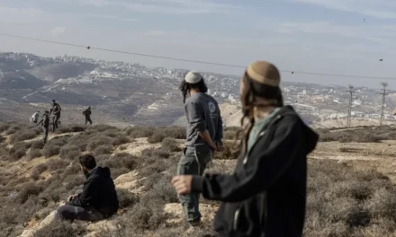 Attivisti picchiati da coloni israeliani in Cisgiordania. C’è anche una giovane irpina