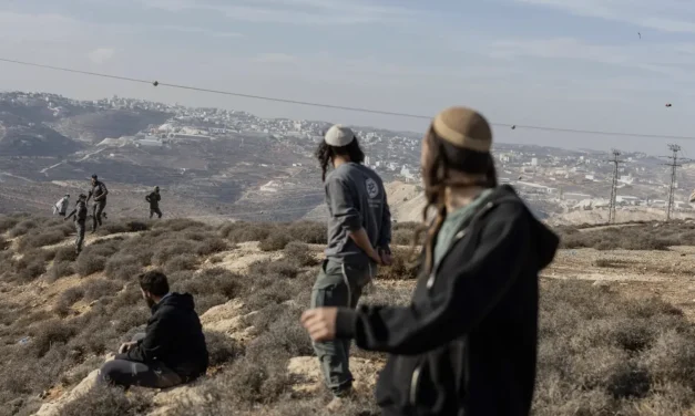 Attivisti picchiati da coloni israeliani in Cisgiordania. C’è anche una giovane irpina