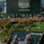 COP30: quando l’assenza degli Stati Uniti pesa e l’azione non può più essere delegata