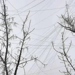 Le scie invisibili della guerra: i fili di plastica che soffocano l’Ucraina