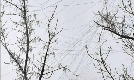 Le scie invisibili della guerra: i fili di plastica che soffocano l’Ucraina