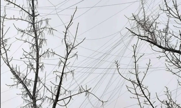 Le scie invisibili della guerra: i fili di plastica che soffocano l’Ucraina