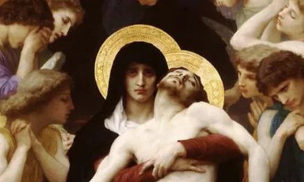 Maria nel cuore della Chiesa: cooperazione e grazia nell’attesa di Mater Populi Fidelis