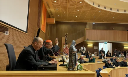 “Mater Populi Fidelis”: Maria madre, non bandiera