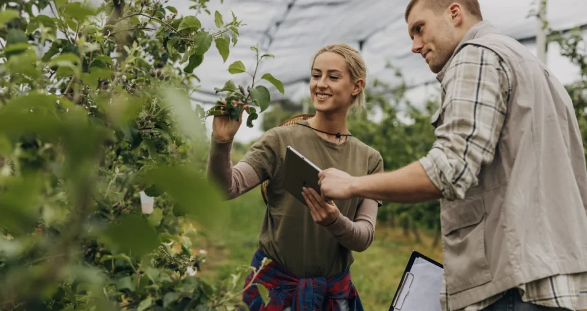 Mercosur, la prudenza italiana e la lezione della reciprocità