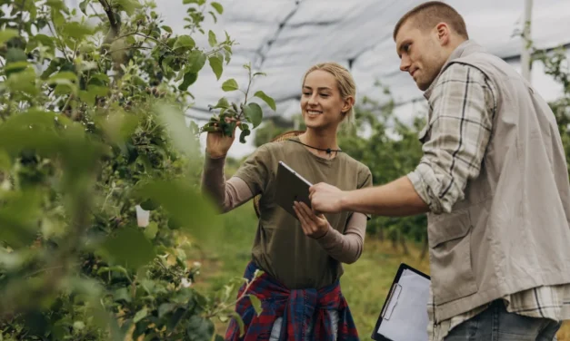 Mercosur, la prudenza italiana e la lezione della reciprocità