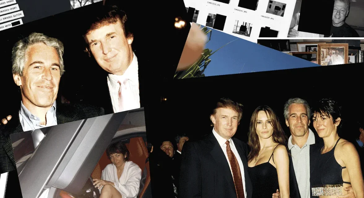 Porcellina e ombre: quando il potere ha paura della luce