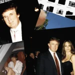 Porcellina e ombre: quando il potere ha paura della luce