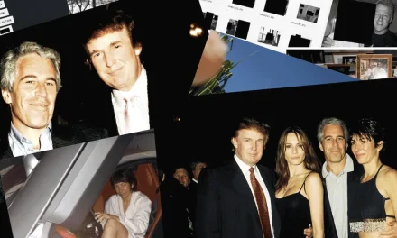 Porcellina e ombre: quando il potere ha paura della luce