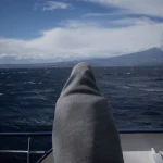 Strage di Natale in Mediterraneo