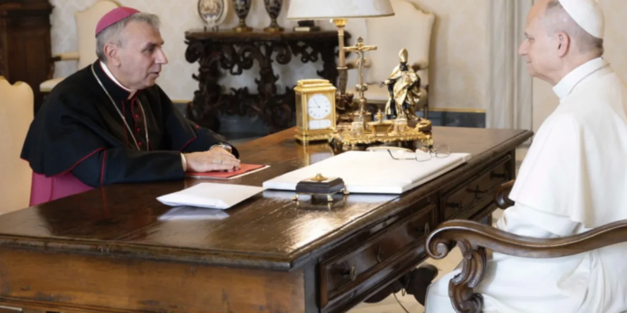 Polemica pretestuosa contro l’omelia del Nunzio della Repubblica Centroafricana