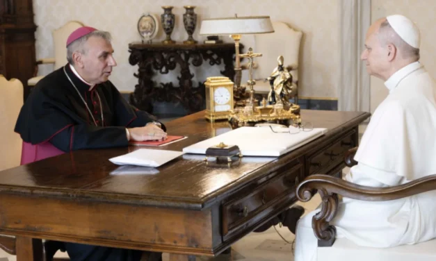 Polemica pretestuosa contro l’omelia del Nunzio della Repubblica Centroafricana