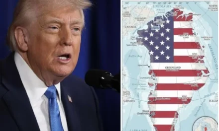 Il bullismo geopolitico di Trump: quando la forza torna a fare legge