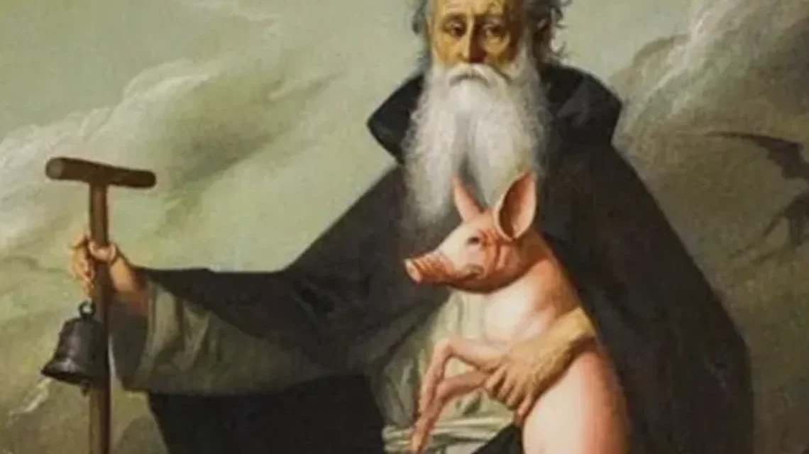 Significato del maiale che accompagna il santo “guaritore”