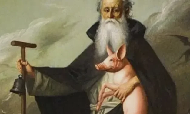 Significato del maiale che accompagna il santo “guaritore”