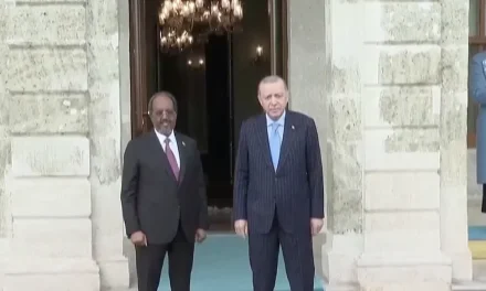 Il Somaliland smentisce: Nessuna base israeliana né reinsediamento dei palestinesi