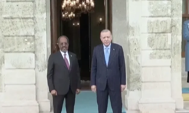 Il Somaliland smentisce: Nessuna base israeliana né reinsediamento dei palestinesi