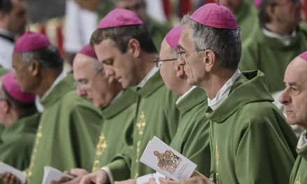 La Conferenza dei vescovi USA denuncia il trattamento del Governo contro gli immigrati