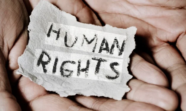 Individuo, procedure e trasformazione costituzionale del diritto internazionale dei diritti umani