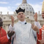 Il panico dei “tradizionalisti di sistema”