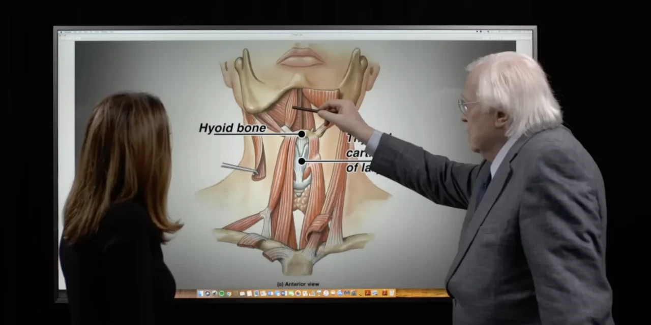 Un’ombra arancione nel corridoio: perché il caso Epstein non smette di inquietare