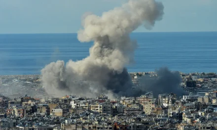 La terra dei cedri sotto le bombe di chi non chiede permesso