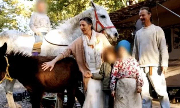 Il bosco, lo Stato e i bambini. Chi custodia i custodi?