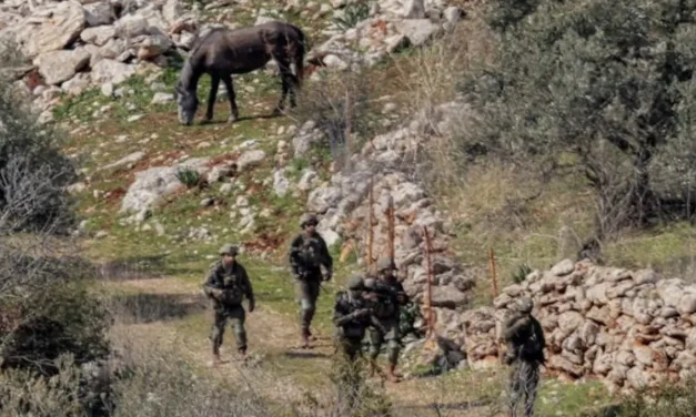 Cuscinetti di guerra. Israele vuole una fascia di sicurezza sul Litani