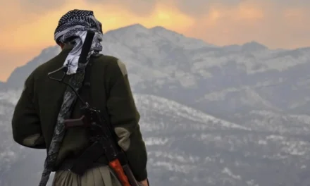 I Curdi saranno “usati” per il cambio di regime in Iran?