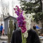 GLI AUGURI DI UN ALLEATO IMPOTENTE